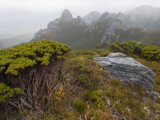 Alpine Heath and Quartzite Outcrops in Frankland Range Photographie par Grant Dixon