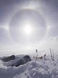 Solar Halo (Due to Blowing Snow and Ice Crystals) Above Southern Patagonian Icecap Photographie par Grant Dixon