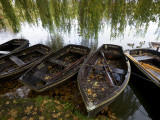 Row Boats Moored at Lakeside at Hever Castle Photographic Print by Doug McKinlay