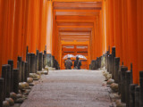 Orange-Red Gates (Tori) Lining Pathways of Fushimi-Inari-Taisha Shrine Lámina fotográfica por Frank Carter