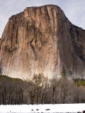 El Capitan and Black Oaks Along the Merced River in Winter Photographic Print by Douglas Steakley