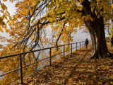Tree-Lined Promenade Along Shore of the Bodensee (Lake Constance) Photographic Print by Glenn Van Der Knijff