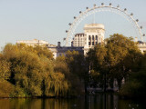London Eye from Green Park Photographic Print by Doug McKinlay