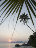 Coconut Tree Sunset Silhouette at Pte. Source D'Argent Photographic Print by Holger Leue
