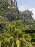 Coconut Trees and Mountain from Mahe International Airport Photographic Print by Holger Leue