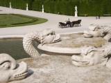 Detail of Gardens at Schonbrunn Photographic Print by Krzysztof Dydynski
