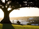 Late Afternoon on Lawn Overlooking Sydney Harbour at Sydney Observatory Photographic Print by Greg Elms