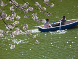 Rowing Along Cherry Blossom-Lined Chidorigafuchi Photographic Print by John Banagan