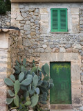 Opuntia Cactus and Green Door Photographic Print by Holger Leue