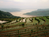 Terraced Rice Fields in Fuling-Chongqing Lámina fotográfica por Keren Su