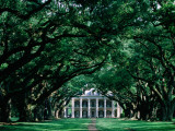 Oak Alley Plantation in Mississippi River Valley Photographie par John Elk III