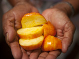 Caju or Cashew Fruit Photographie par Huw Jones