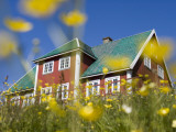 Red House Seen Through Meadow of Yellow Buttercup Flowers Photographie par Holger Leue