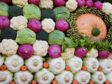 Vegetable Display at Yoyogi Park Agricultural Festival Photographic Print by Gerard Walker