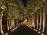 Palm-Lined Path and Pier at Night Photographic Print by Holger Leue