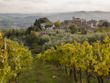 Vineyards in Hamlet of Castello Di Volpaia, Near Radda in Chianti Fotografie-Druck von Glenn Van Der Knijff