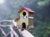 Bird House on Levada Do Furado Levada Walk Photographie par Holger Leue
