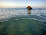 Elephant 'Rajes' Wading into Sea with His Mahout on Back Photographie par Johnny Haglund