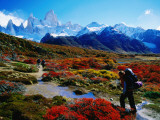 Trekkers Walking Through Autumnal Foliage Towards Monte Fitz Roy Photographie par Gareth McCormack