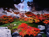 Autumnal Foliage Beneath the Glacier Piedras Blancas Photographie par Gareth McCormack