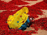 Woman Sorting Red Chillies Photographie par Hira Punjabi