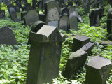 New Jewish Cemetery, Ul Miodowa 55, Kazimierz Photographic Print by Krzysztof Dydynski