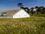 Historic Farm House Surrounded by Wildflowers at End of Pierce Point Road Photographic Print by Emily Riddell