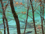 Trees by Colourful Calcium Ponds, Nine Village Valley (Jiuzhaigou) Photographie par Keren Su