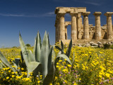 Selinunte Temple Ruin Photographic Print by Olivier Cirendini