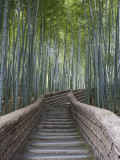 Stairway Through Bamboo Grove Above Adashino Nembutsu-Ji Temple Fotografisk tryk af Brent Winebrenner Stairway Through Bamboo Grove Above Adashino Nembutsu-Ji Temple Fotografisk tryk af Brent Winebrenner