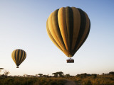 Hot Air Balloons at Dawn Lámina fotográfica por Tony Wheeler