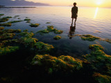 Harvesting Seaweed Beds of Vietnam's South Central Coast Lámina fotográfica por Stu Smucker