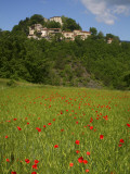 Poppies in Wheat Field with Caprese Michelangelo in Background Photographic Print by Ruth Eastham & Max Paoli