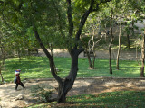 Trees at the Park Near Wat Phnom Fotografisk trykk av Austin Bush Trees at the Park Near Wat Phnom Fotografisk trykk av Austin Bush