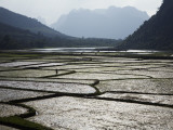 Man Walking in Ricefields Near Ke Bang National Park Photographic Print by Anders Blomqvist