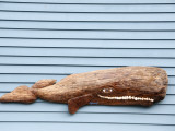 Whale Sign for Local Shop Photographic Print by Peter Ptschelinzew