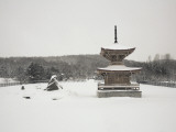 Shrine Covered in Snow Along Chuo National Highway, Near Takikawa Photographic Print by Shayne Hill