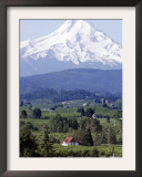 Mount Hood over Houses Scattered amongst Orchards and Firs, Pine Grove, Oregon Framed Photographic Print by Don Ryan