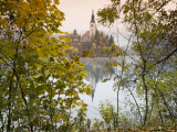 Baroque Church of Assumption on Bled Island Photographie par Richard Nebesky