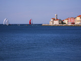 Sailing Boats Racing across Piran Bay Away from Rt Madona Headland Photographic Print by Ruth Eastham & Max Paoli