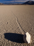 Ractrack Playa Mysterious Racing Rock, Most Likely Driven by Wind When Playa Is Wet Photographic Print by Karl Lehmann
