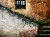 Adobe Stairs with Geraniums Photographic Print by Douglas Steakley