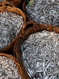 Baskets of Fish on Beach Photographie par Paul Kennedy
