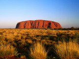 Uluru (Ayers Rock) with Desert Vegetation Fotografisk trykk av John Banagan