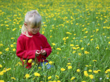 Girl Sitting in Dandelion Field Near Sr. Radovna Photographic Print by Ruth Eastham & Max Paoli