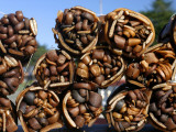 Bundles of Dried Kelp (Cochayuyo) for Sale at Seaside Stall Lámina fotográfica por Paul Kennedy