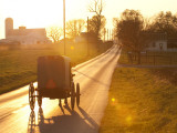 Horse and Buggy in Amish Community Photographic Print by Peter Ptschelinzew