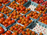 Organic Tomatoes for Sale at Saturday Market Photographic Print by Richard Cummins