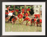 South Korean Kindergarten Pupils Plant Rice Seedlings Framed Photographic Print