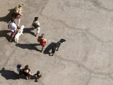 Overhead of Pedestrians Walking Dogs Photographic Print by Lou Jones